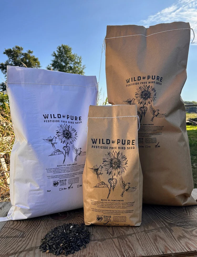 Wild & Pure Bird Seed - Black Oil Sunflower Seed (5lb)